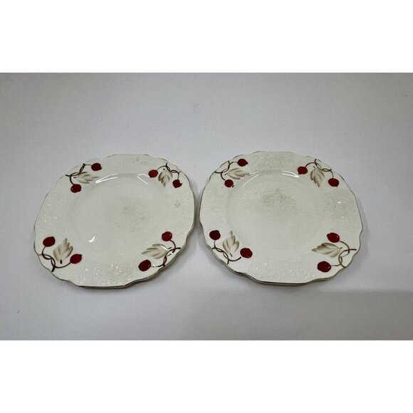 Myott Cherry Ripe Bone China Salad Side Plates x2 English Floral Vintage - Picture 1 of 7